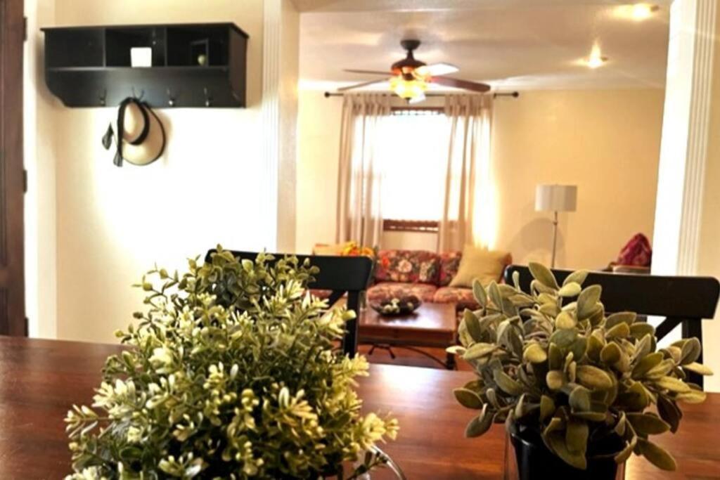 House Close To Downtown, Airport, Raymond James Stadium, And Many More Places Tampa Bagian luar foto